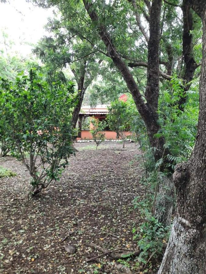 Nasu Lodge La Cruz  Luaran gambar
