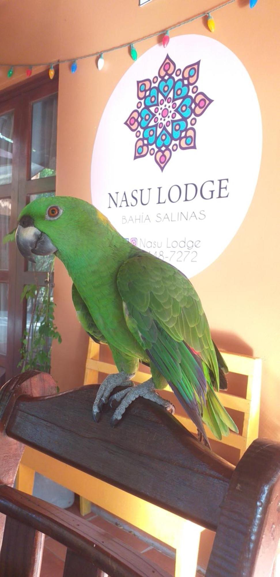 Nasu Lodge La Cruz  Luaran gambar